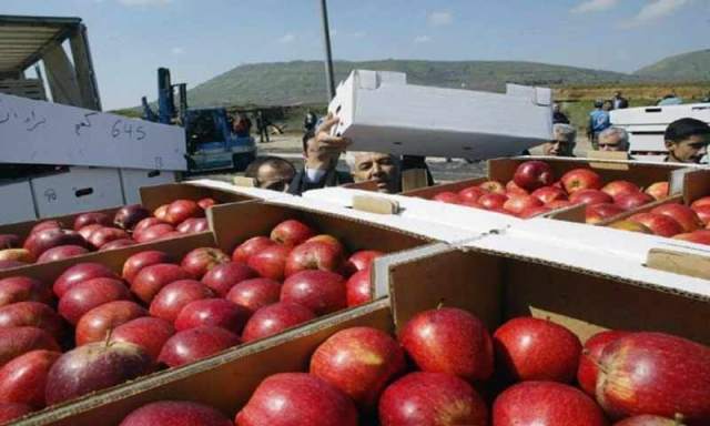 مصانع تفاح في تركيا